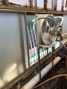 Penguin-san cũng đang làm mát