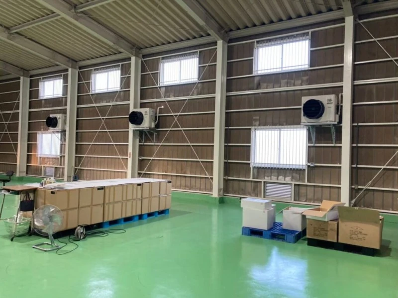 Đối phó với nhiệt độ và độ ẩm để đánh bại nấm mốc!