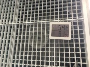 Các biện pháp chống nóng tại nhà máy sản xuất thép