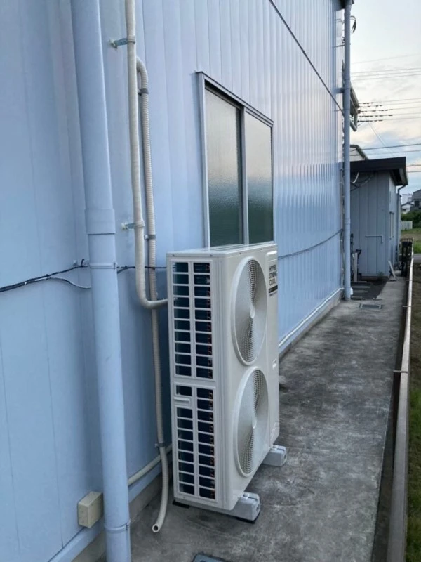 Đối phó với nhiệt độ và độ ẩm để đánh bại nấm mốc!